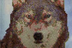 490006532_9638736089503546_3906383855434755446_n