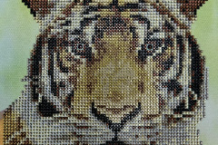 491318393_9646863272024161_4728737109426572280_n